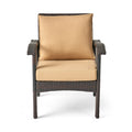 Honolulu Brown Club Chair 2 Brown Tan Pe Rattan Iron Waterproof Fabric