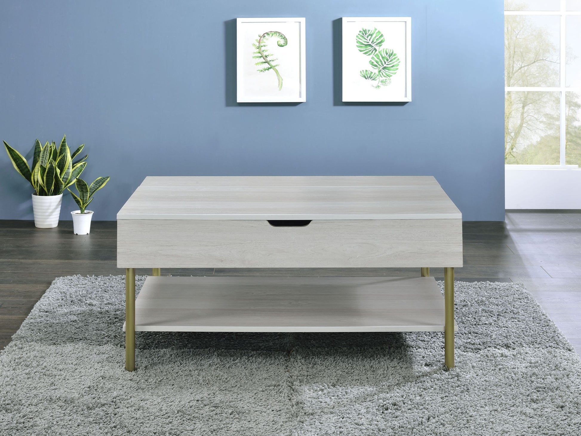 Whitman Lift Top Coffee Table White White Wood