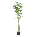 160Cm Artificial Pachira Macrocarpa Green Polyethylene