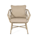 Bruce Club Chair Brown Pe Rattan Iron Waterproof Fabric