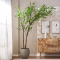 300Cmartificial Disc Leaf Tree Green Pvc