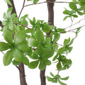 300Cmartificial Disc Leaf Tree Green Pvc