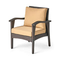 Honolulu Brown Club Chair 2 Brown Tan Pe Rattan Iron Waterproof Fabric