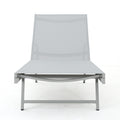 Salton Chaise Lounge Natural Nylon Mesh